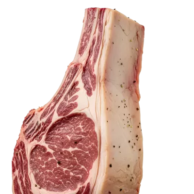 Imagen PNG para descargar